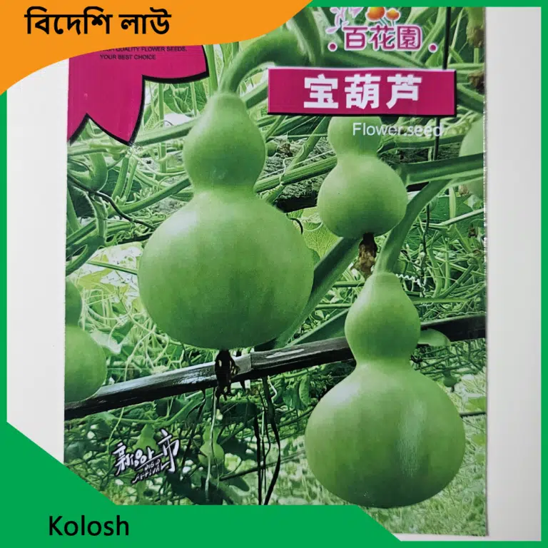 কলসি লাউয়ের বীজ। - Image 3