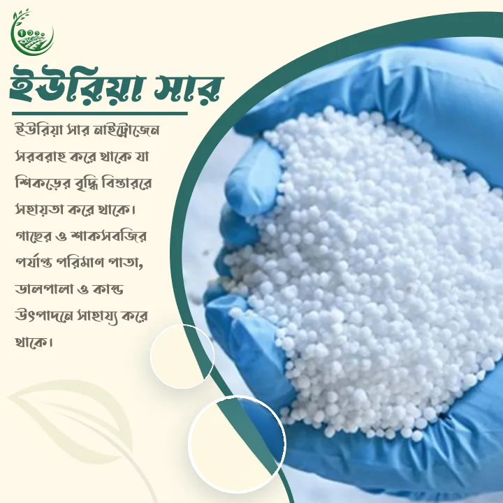 Urea Fertilizer,ইউরিয়া সার ( 1 kg ) - Image 2